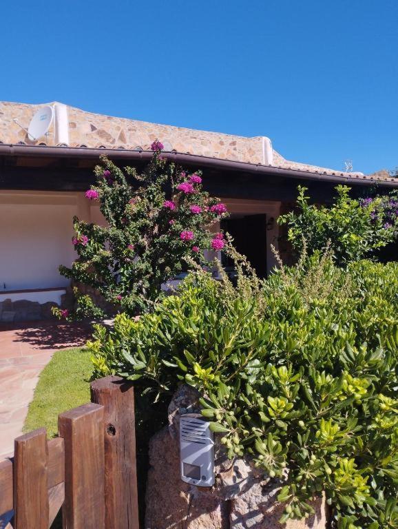 Aparthotel Capo Ceraso Family